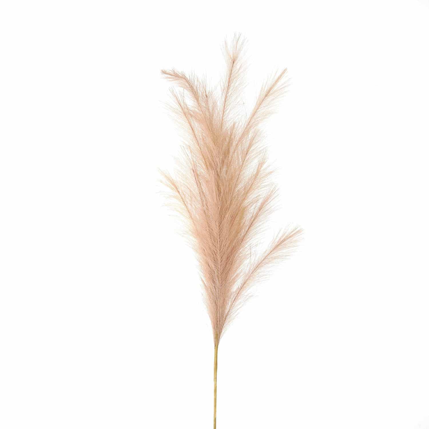 Large Faux Pampas Grass Stem Roost Home & Lifestyle